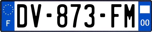 DV-873-FM