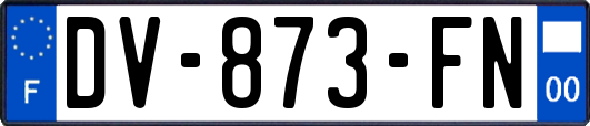 DV-873-FN