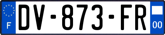 DV-873-FR