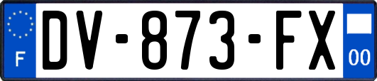 DV-873-FX