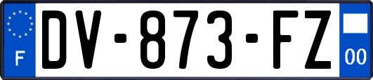 DV-873-FZ