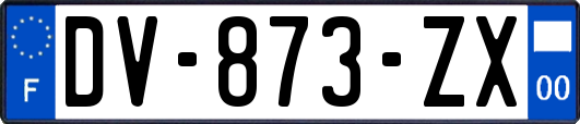 DV-873-ZX