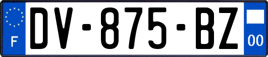 DV-875-BZ