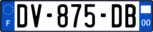 DV-875-DB