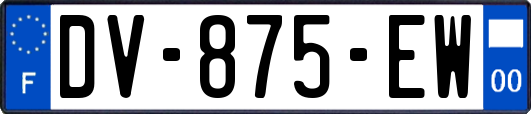 DV-875-EW