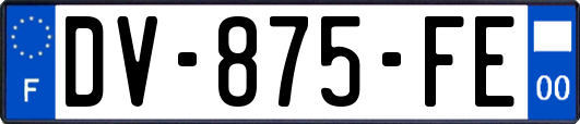 DV-875-FE