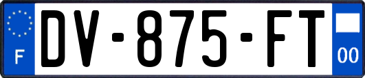 DV-875-FT