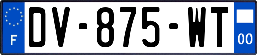 DV-875-WT