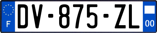 DV-875-ZL