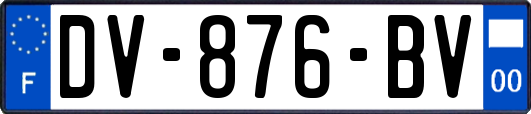 DV-876-BV