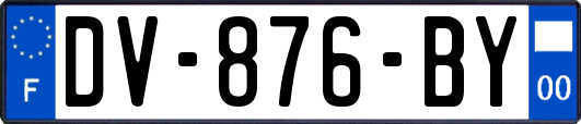 DV-876-BY