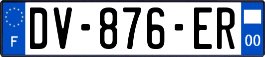 DV-876-ER