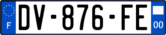 DV-876-FE