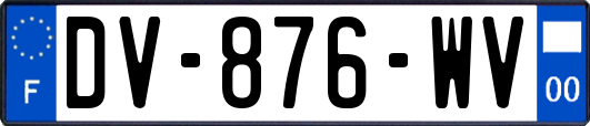 DV-876-WV