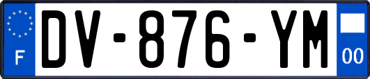 DV-876-YM