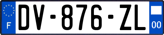 DV-876-ZL
