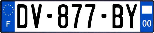 DV-877-BY