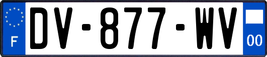DV-877-WV