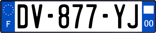 DV-877-YJ
