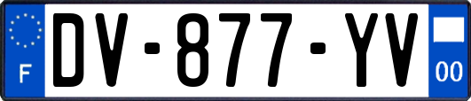 DV-877-YV