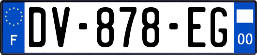 DV-878-EG