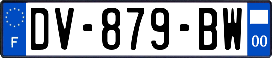 DV-879-BW