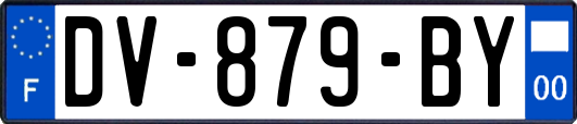 DV-879-BY