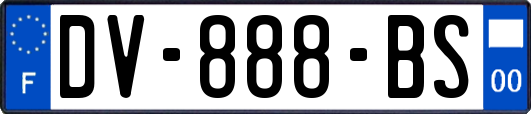 DV-888-BS