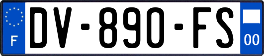 DV-890-FS