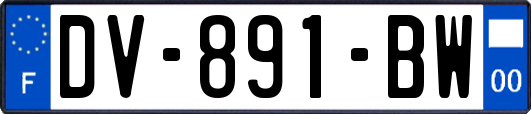 DV-891-BW