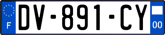 DV-891-CY