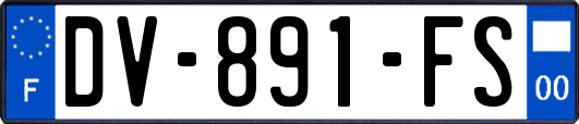DV-891-FS