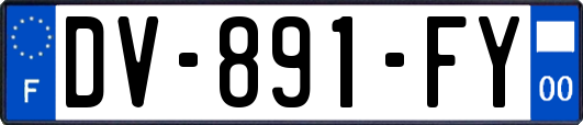 DV-891-FY