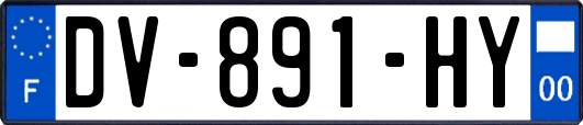 DV-891-HY