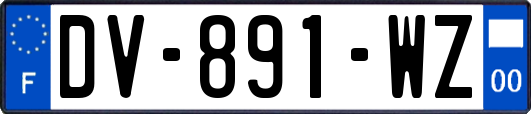 DV-891-WZ