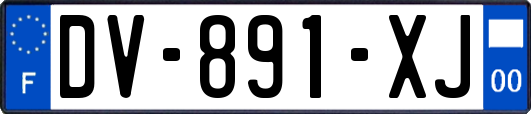 DV-891-XJ