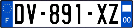 DV-891-XZ