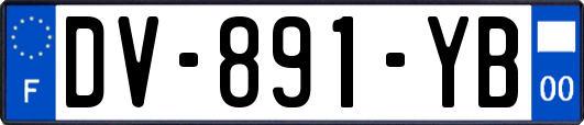 DV-891-YB