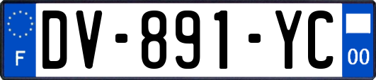 DV-891-YC