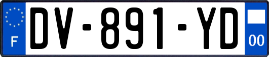 DV-891-YD