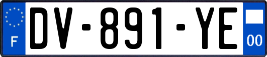 DV-891-YE