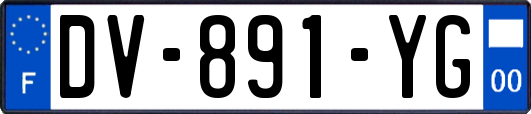 DV-891-YG