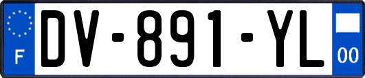 DV-891-YL