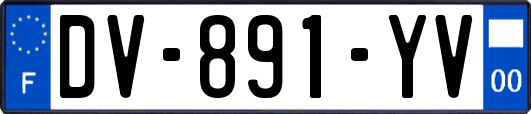 DV-891-YV