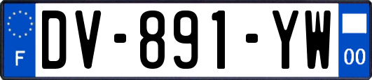 DV-891-YW