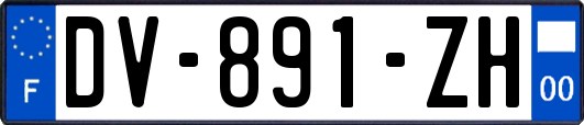 DV-891-ZH