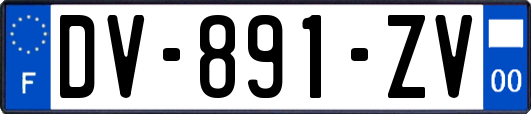 DV-891-ZV