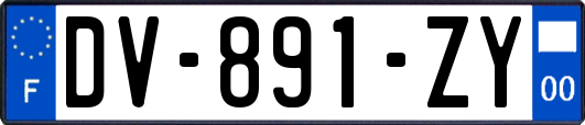 DV-891-ZY
