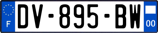 DV-895-BW