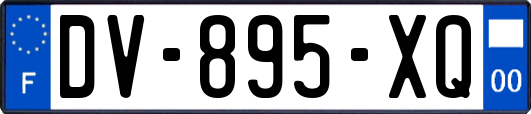 DV-895-XQ
